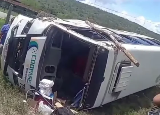 Cinco pessoas ficam feridas após micro-ônibus capotar próximo ao povoado Riacho, em Tobias Barreto – FaxAju