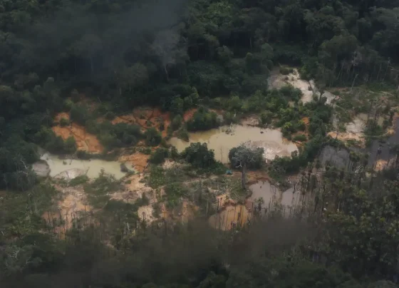 Congresso tem 2 anos para autorizar indígenas explorar mineração legal