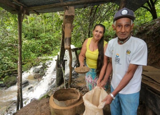 Conheça a história do casal de produtores de Barra do Turvo que produz o melhor café do estado de SP