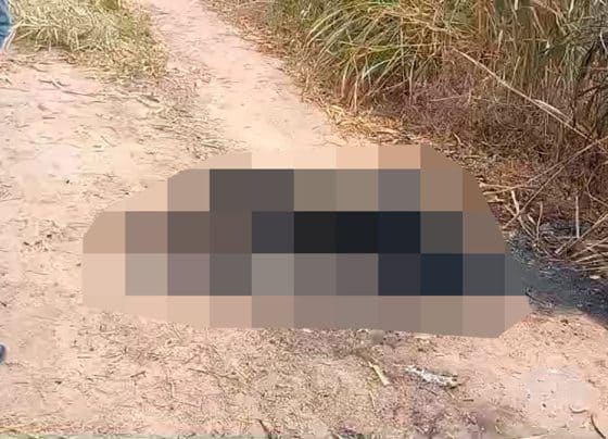 Corpo é encontrado carbonizado e amarrado às margens da BR-235 em Laranjeiras