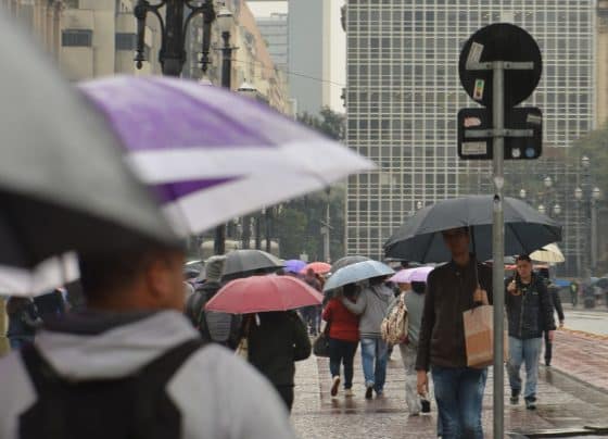 Defesa Civil de SP retoma gabinete de crise após previsão de chuvas
