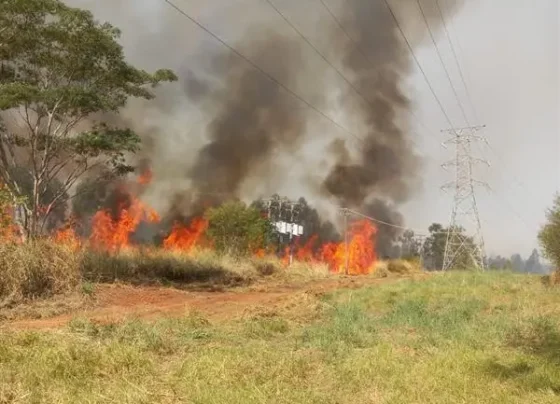 Energisa alerta sobre os riscos de queimadas próximas à rede elétrica – FaxAju