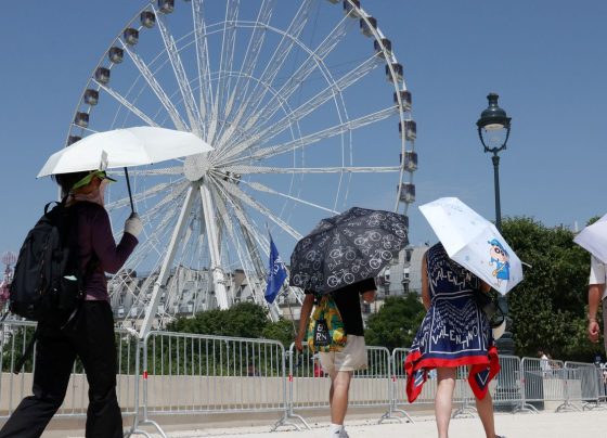 Europa: temperatura alta pode elevar transmissão do vírus Chikungunya