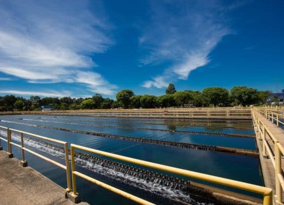 Governo de SP inicia ‘Na Rota da Água’ com mais de 1.100 entregas de frente de obras de água e saneamento
