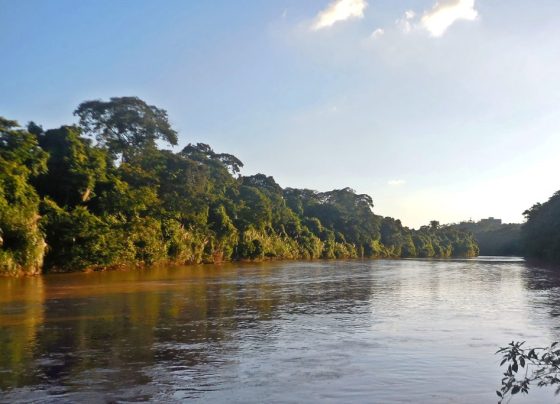 Governo de SP prorroga consulta pública do projeto de segurança hídrica da bacia dos rios Piracicaba, Capivari e Jundiaí