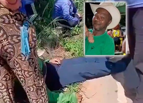 Homem morre e 27 trabalhadores ficam feridos após ataque de abelhas dentro de ônibus em Capela