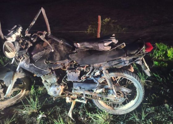 Homem morre e outro fica ferido após colidir com cavalo na rodovia SE 204, no município de Pacatuba – FaxAju