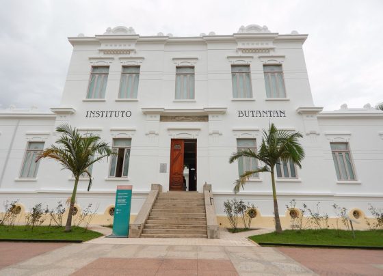Instituto Butantan abre inscrições para o Programa Cientista Mirim 2026