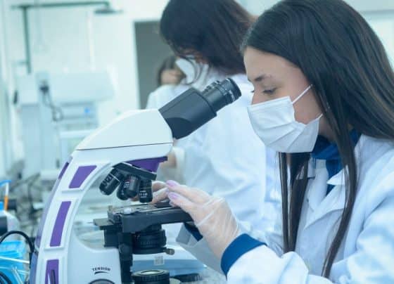 Medicamento para osteoporose mostra potencial contra doenças causadas por excesso de ferro