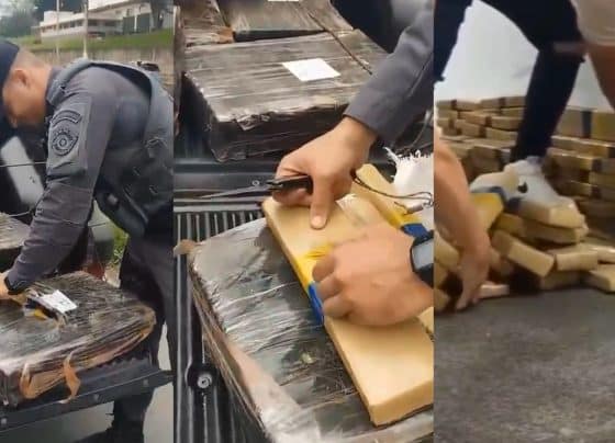 Motorista é preso com 140 kg de maconha ao ser abordado em operação da PM no Rodoanel Mário Covas