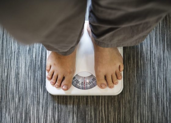 Cientistas descobrem como a obesidade do pai afeta o metabolismo dos filhos