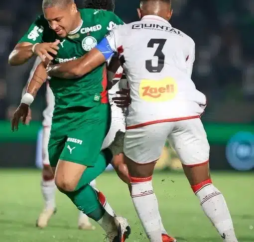 palmeiras