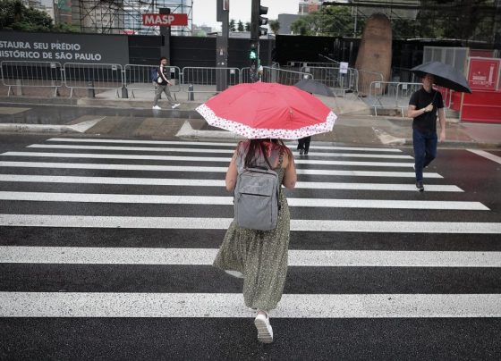 Previsão do tempo para quarta-feira (11), em SP: dia marcado por pancadas de chuva de verão