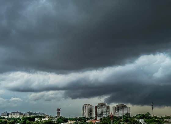 Previsão do tempo para sábado (07), em SP: tempo firme