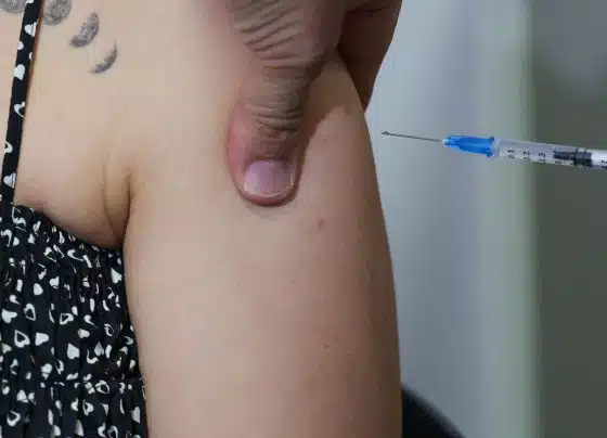SP começa projeto-piloto de vacinação contra chikungunya em Mirassol