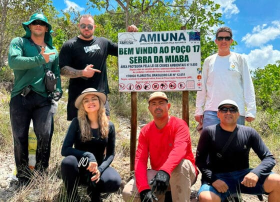 Ação ambiental promove reflorestamento, limpeza e conscientização na Serra da Miaba