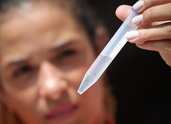 Altas temperaturas favorecem mosquito da dengue; veja como prevenir