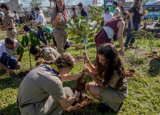 COP15 no Brasil promove conexão entre povos e territórios