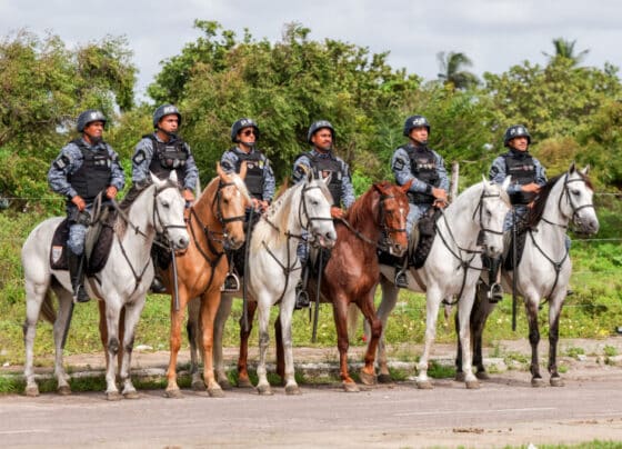 Cavalaria da PMSE passa a se chamar Regimento de Polícia Montada Coronel Hermeto Rodrigues Feitosa – P.M.S.E.