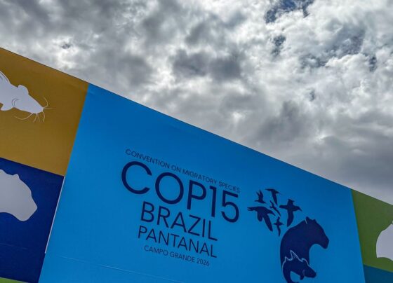 Cúpula de líderes orienta debates para COP15 em Campo Grande