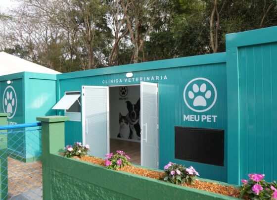Governo de SP amplia rede de atendimento veterinário com novos pet contêineres no interior