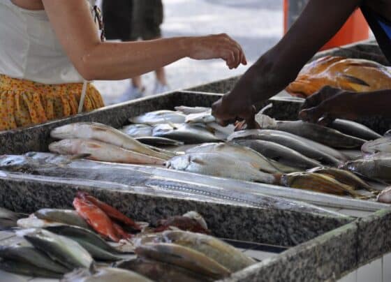 Ipem-SP alerta sobre cuidados na compra de pescados durante a Quaresma