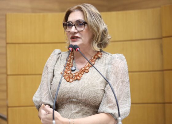 Linda Brasil diz não haver tempo hábil para discutir projetos sobre reajuste de servidores