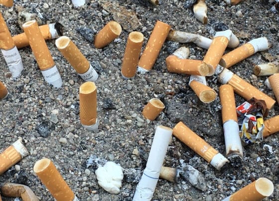 Lixo mais comum do planeta, 4,5 trilhões de bitucas de cigarro são lançadas por ano no mundo