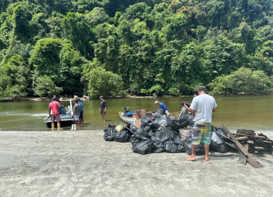 Mar Sem Lixo: Governo de SP aumenta em quase 50 vezes a retirada de resíduos e ultrapassa R$ 1 milhão em pagamentos a pescadores