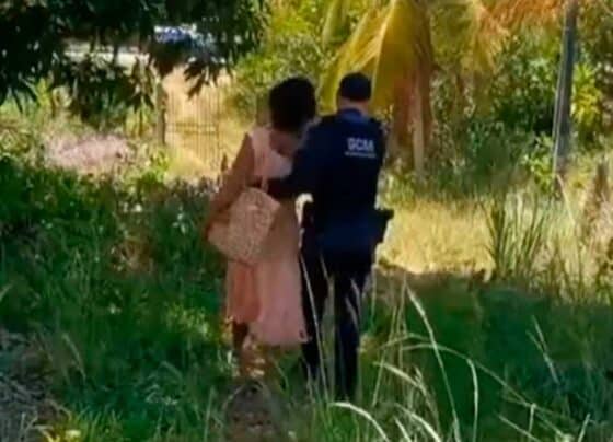 Mulher fica mais de 14 horas escondida em mata após tentativa de feminicídio em São Cristóvão