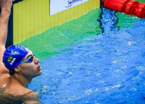 Natação paralímpica: Brasil amplia ouros em World Séries de Barcelona