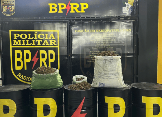 PMSE prende suspeito e apreende quase 17kg de maconha durante operação conjunta em Nossa Senhora do Socorro – P.M.S.E.