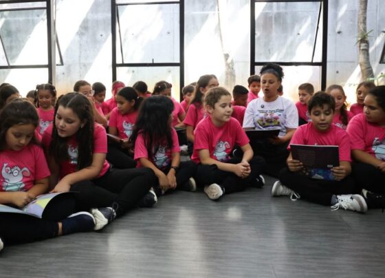 Prêmio Excelência Educacional: SP reconhece 411 municípios por avanços na alfabetização