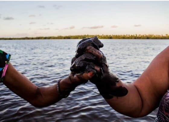 Projeto institui Política Socioambiental das Atividades de pescadoras e marisqueiras