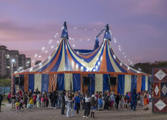 SP celebra o Dia do Circo com programação gratuita e grandes trupes no picadeiro