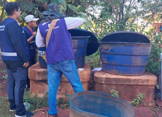 Chikungunya: ministro classifica de crítica situação em Dourados