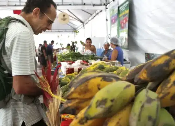 Feira Brasil na Mesa destaca riqueza e diversidade alimentar produzida por pequenos agricultores | ASN Nacional