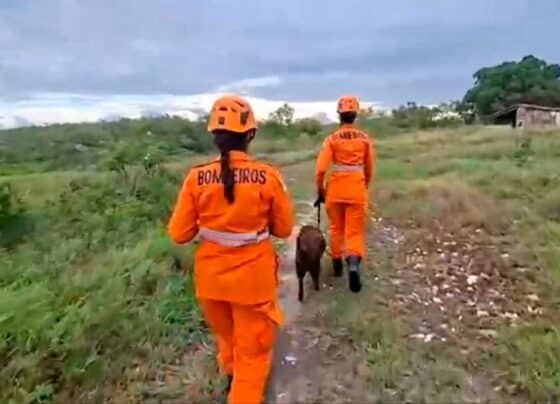 Bombeiros tentam localizar idoso de 65 anos desaparecido em Itabaiana