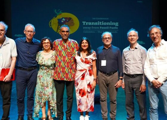 Cientistas criam painel para orientar transição energética global