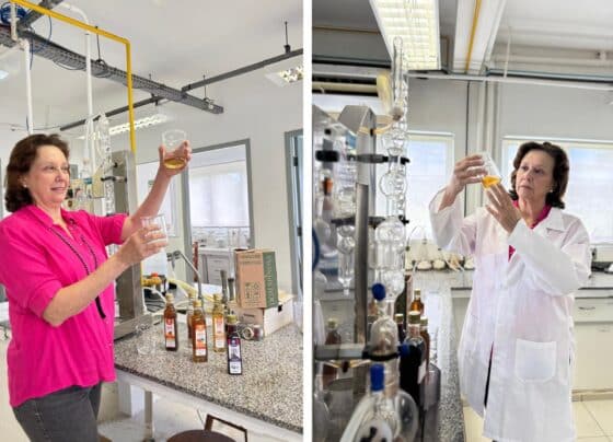 Com apoio do Banco do Povo, engenheira química produz vinagres orgânicos e amplia negócio no interior de SP