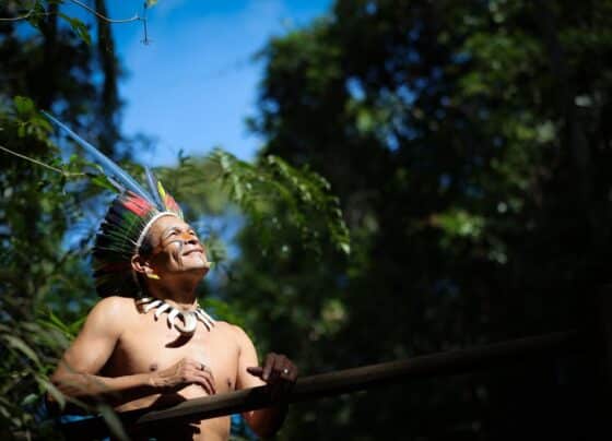 Conheça 16 aldeias para imersão na cultura indígena no estado de SP