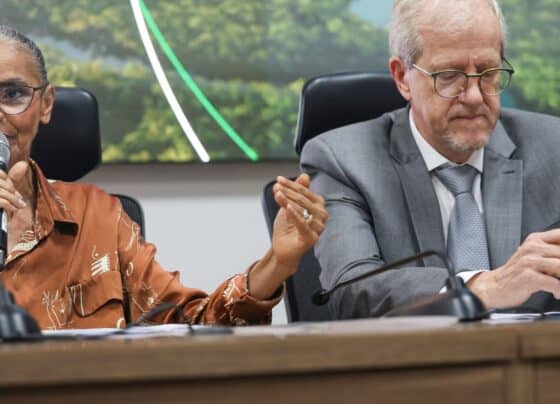 Criação de autoridade climática é prioridade de Lula, diz Marina Silva