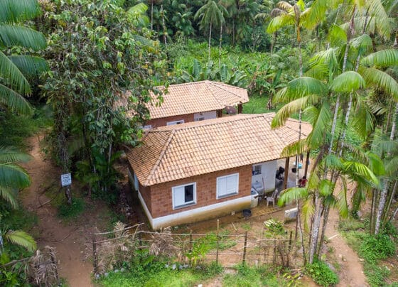 Dia dos Povos Indígenas: número de moradias em aldeias de SP aumenta 50% em quatro anos