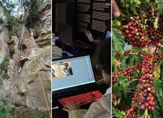 Do café aos jogos eletrônicos, SP Produz fortalece e diversifica cadeias produtivas da região de Campinas