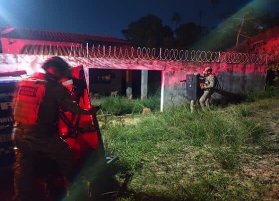 Em surto psicótico, mulher mata seis filhotes de cães e se rende após horas de negociação com a militares do Bope