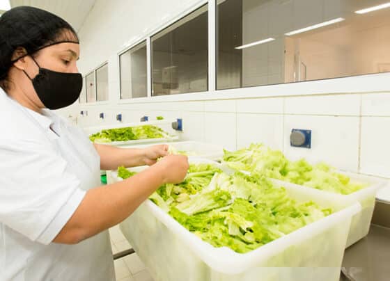 Especialistas detalham como evitar riscos de intoxicação alimentar no ambiente doméstico