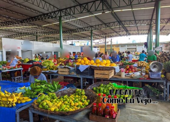 Feira livre será mantida no feriado de 20 de abril em Lagarto; comércio terá funcionamento facultativo