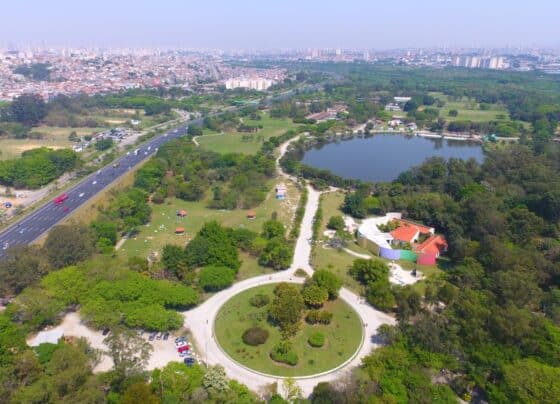 Governo de SP prorroga prazo de envio de projetos climáticos para evento do Dia do Meio Ambiente