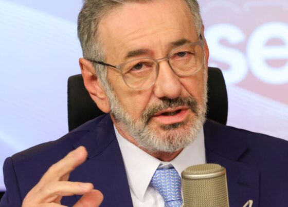 Ministro diz que país não quer apenas exportar minerais críticos
