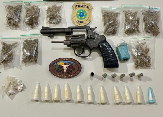 Operação conjunta apreende arma de fogo em Carira – P.M.S.E.